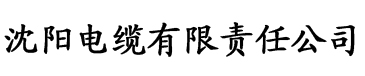 青青青青久久精品国产h电缆厂logo